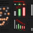 포항공과대학교 친환경소재대학원 이미지