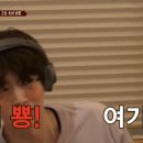 벨스타 이미지
