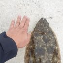 향미민박 이미지