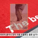 한국 소니전자의 주문제작 카페트형 로고매트 이미지