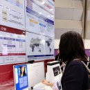 플러스에젤 이미지