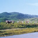 (주)문덕건설 이미지