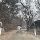 순하농장 | [고산] 숲속의 반려견 놀이터 '두리멍쉴' 첫방문후기