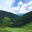 야호축산 이미지