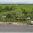 만주농장 이미지