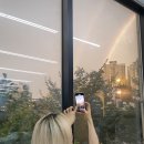 MZ따라잡기 인스타그램 이미지