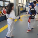 정음태권도 이미지