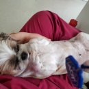 고방동물병원 이미지