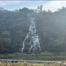 여우별무인텔 이미지