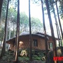 흙집우드 이미지