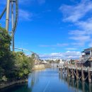 늘푸른청과슈퍼 | 일본여행 슈퍼 닌텐도 월드 입장 확약권 어트랙션 정리권 오픈런 쇼