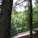 풍전목장 이미지