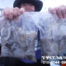 킹콩낚시 이미지