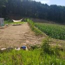 국보농장 이미지