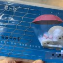 수원화성오산 축산업협동조합 노동조합 | 농협 신입사원 본사교육_day1~2(feat.생일파티,인계동 긴자)