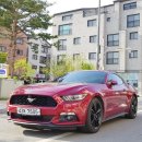 수원-0835 이미지