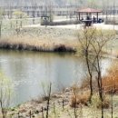 전주이씨 상원군 이세령가문 충신열녀정려편액 이미지