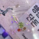 똥강아지네 | "해운대 해변열차 코스 걷다 발견한 아이스크림 맛집, 송정 스위티 똥강아지"