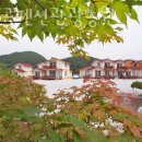 비단골관광농원 이미지