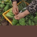 현옥농장 이미지