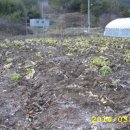 옥터농장 이미지