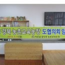 김종순농장 Daum카페