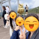 웰니스 컬리지 9기 오프라인 교육 1일차 : 모나 용평, 발왕산 케이블카, 조약돌 어셈블