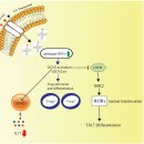 Re: Amino Acid Sensing 이미지