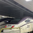 씨유 여수소호점 | [202308, 여수여행🚝]