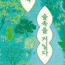 두빛나래어린이도서관 이미지