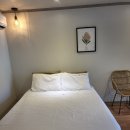 파파야 펜션 | 우리 강아지랑 함께한 여행🐶 경주 파파야 애견펜션 후기