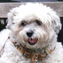 마마동물병원 이미지