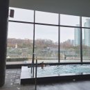 수영통상 | 웨스틴 서울 파르나스 하루 종일 시간표대로 먹고 수영하느라 바쁜 봉은사 앞마당 호캉스 라운지, 조식...