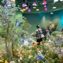 우주카월드자동차 이미지