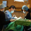 스마일교정치과기공소 이미지