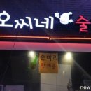 오씨네술집