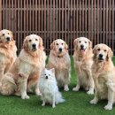 뭉스벨리 이미지