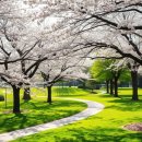 다원힐독채펜션 | 강릉 다원힐 독채펜션 | 성산면 힐링 숙소 추천