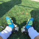 백사체육공원 이미지