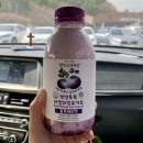 대관령톡톡 이미지