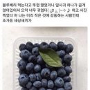 모비피아 | 소정짱~ 하이 ~! 나니가 스키? 초코민또 요리모 아.나.타. ⭐️