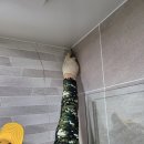 진주 충무공동 휴앤인엘리시움 아파트 욕실 타일하자보수 바이오실리콘 마감