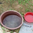 푸른샘농장 이미지