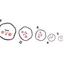 안녕, 내강아지 이미지