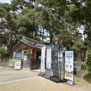 경북장식 | 경북 영주 체험 놀 거리 가볼 만한 곳 총정리 소수서원/부석사/무섬마을 후기 국내여행 추천