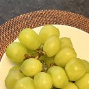 표선달채