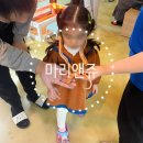 인천 송도 :) 아이와 가볼만한 실내동물원 / 이색동물교감카페 마리앤쥬