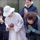 무안팥죽 이미지