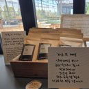 크린에이드제주표선점 | 제주 서귀포 표선 보롬왓카페 초코렛 체험후기