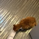 쿠잉풀빌라앤스파펜션 이미지